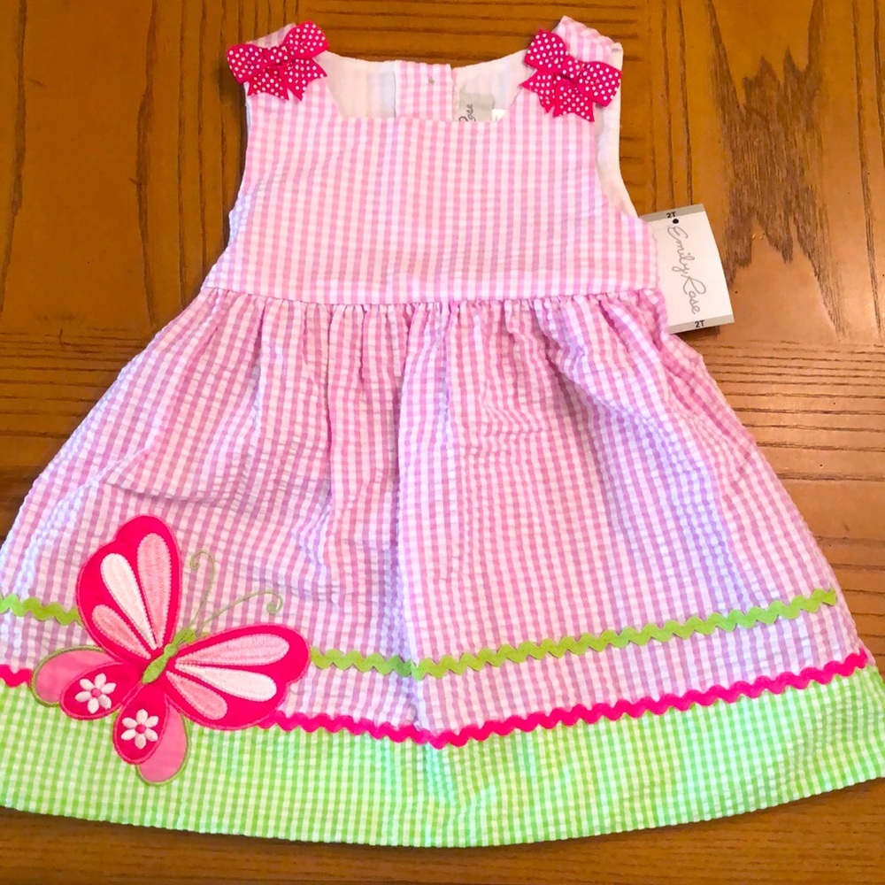 Emily Rose 2T seersucker dress